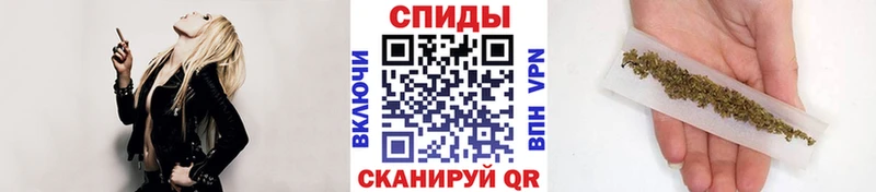 БУТИРАТ буратино  Купить где  Кола 