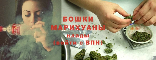 сатива Аркадак