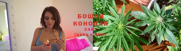 сатива Аркадак