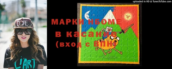 сатива Аркадак