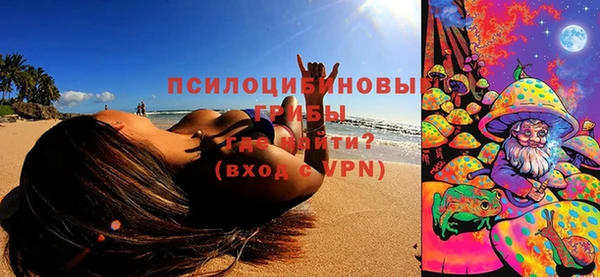 ПСИЛОЦИБИНОВЫЕ ГРИБЫ Алзамай