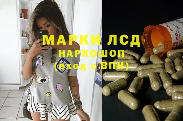 сатива Аркадак