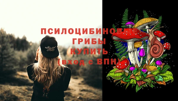 spice Алексеевка