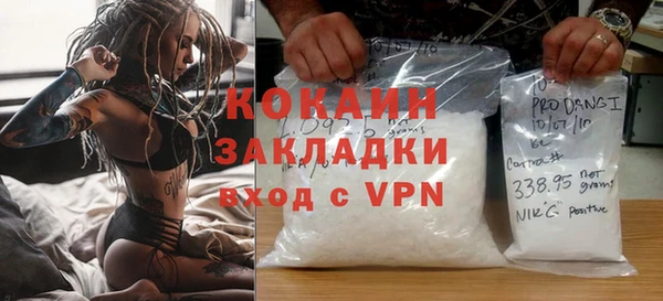 шишки Арсеньев
