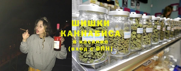 шишки Арсеньев