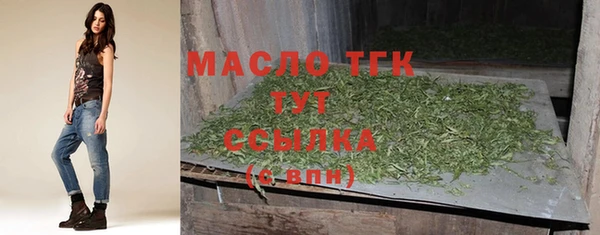 шишки Арсеньев