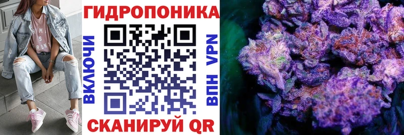 Шишки марихуана Bruce Banner  Купить  Кола 
